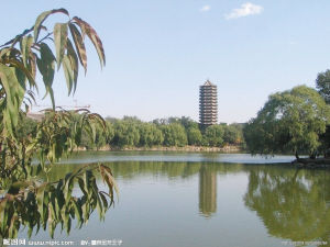 国内名校