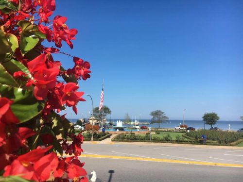 ALABAMA: Fairhope